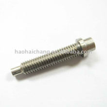 High Precision Special Stainless Steel Fastener Bolt